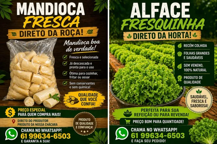 Vendemos alface mandioca todos descascado 