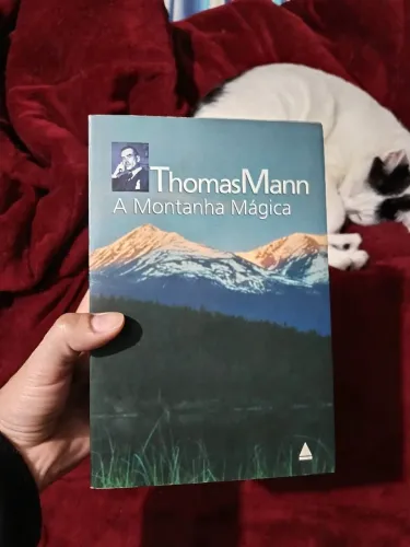Livro A montanha mágica, Thomas Mann