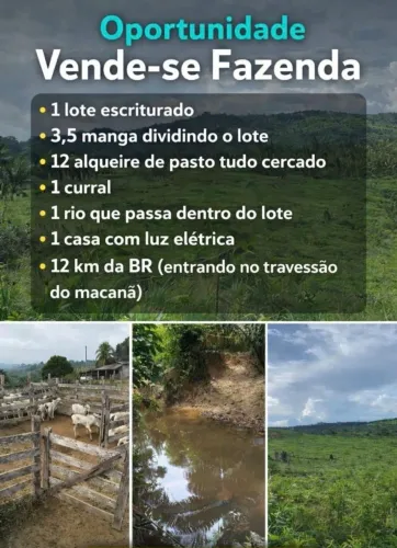 Vendo fazenda localizada entre Rurópolis e Placas