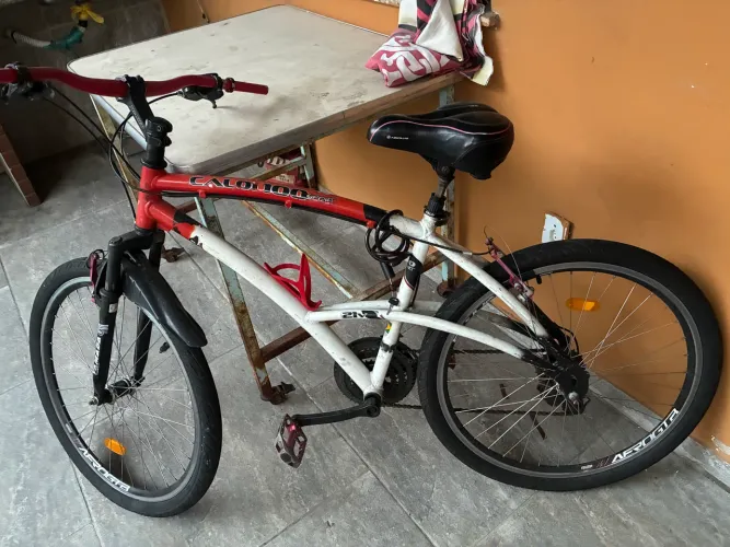 Bicicleta
