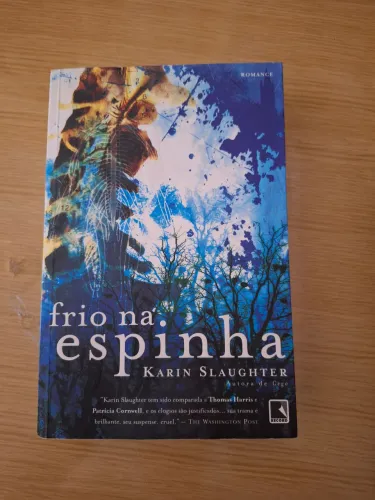 Livro Frio na Espinha Karin Slaughter