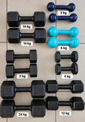 Halter de academia
