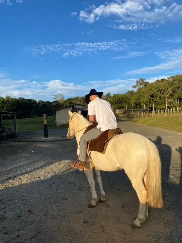 Cavalo Branco 5 Anos - Manso, Dócil e Bem Cuidado
