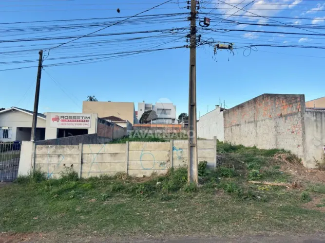 Terreno Padrão em Ponta Grossa