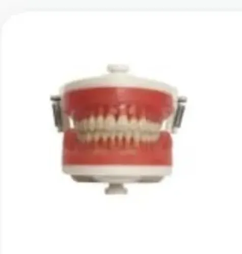 Manequim top dentistica Pd100 -Pronew