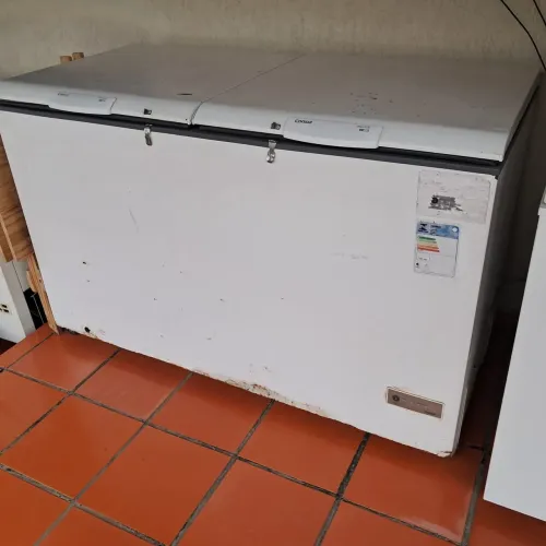 Freezer cônsul grande