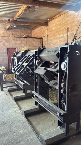 Máquina raspar cana 6 escovas ENGBER