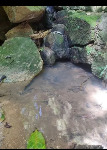 Sítio a venda, 2 hectares