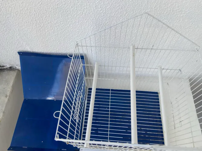 vendo gaiola de calopsita entre outras aves