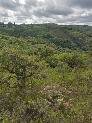 Venda de Área em Encruzilhada Do Sul-RS, bairro Zona Rural