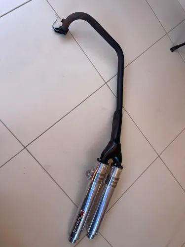 Vendo coyote