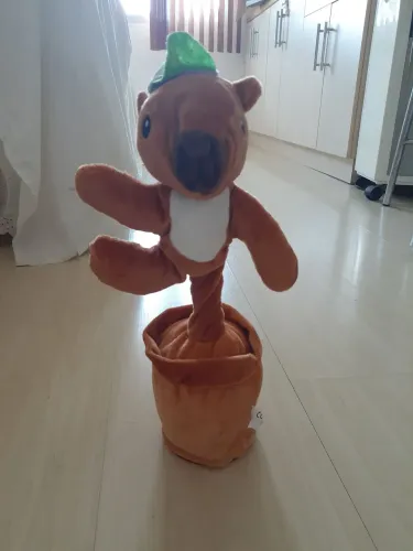 Capivara dançante e falante