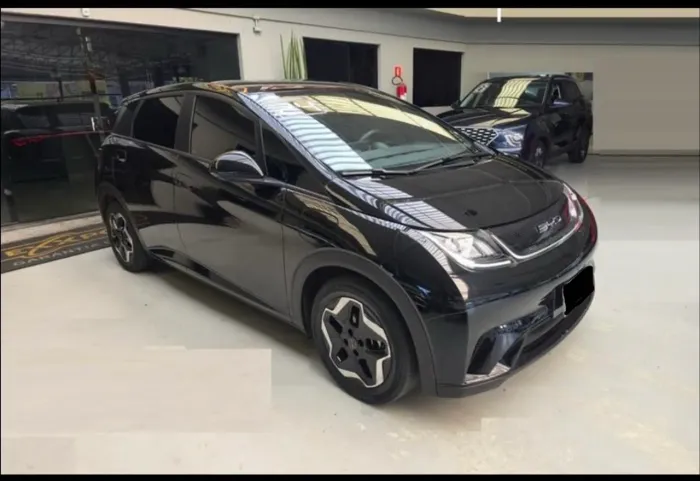 BYD Dolphin Mini (Elétrico) 2024