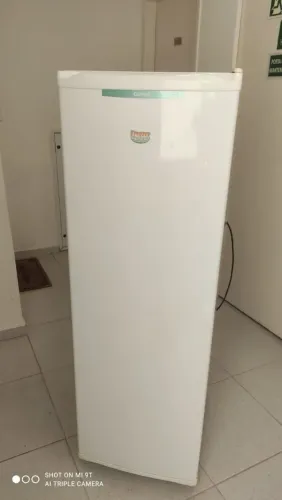 Freezer vertical v110