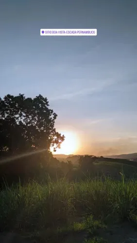 SÍTIO 13 HECTARES EM ESCADA -PE COM 500 TONELADA DE CANA DE AÇÚCAR E 13 GADOS NELORE 