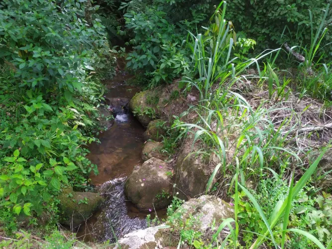 Terreno com riacho de 8 mil m² a venda.