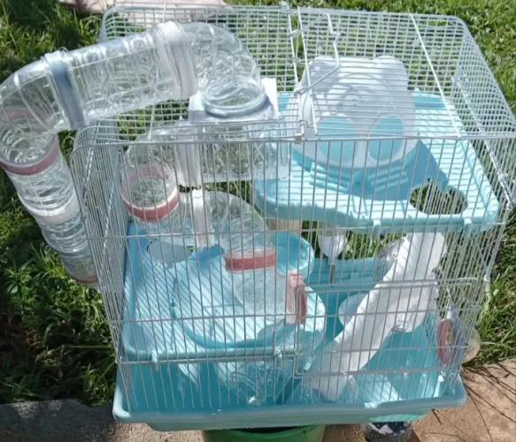 Vendo Casa para Hamster - Estado de Nova