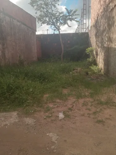 Terreno 
