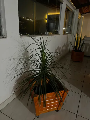 Cachepô de madeira com rodinha