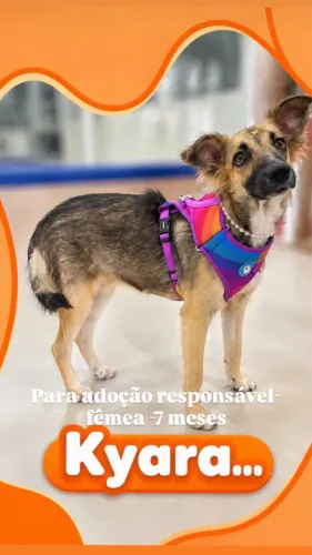 Cadela