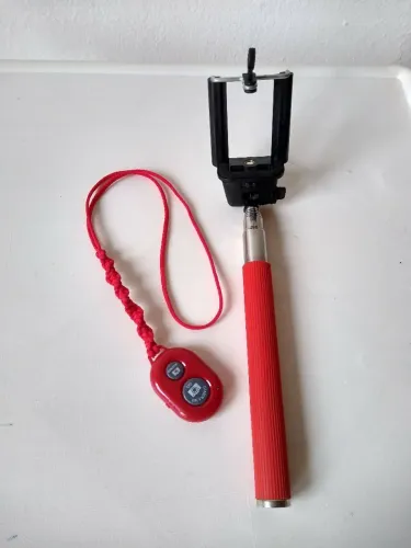 Pau de selfie