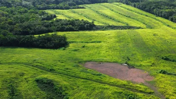 50 hectares há 60 km de Belém já em pasto e tanque de peixes documentada