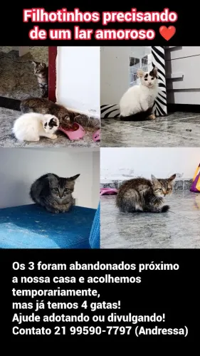 Doação