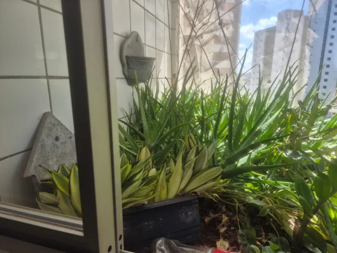 Apartamento à venda no SAN MARCO, CASA AMARELA, Recife, PE
