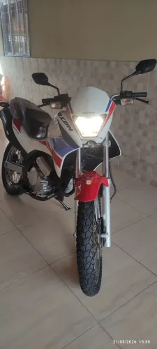 Falcon