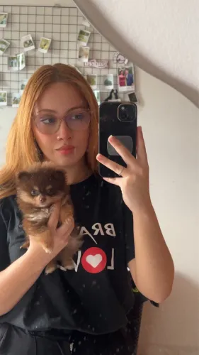 Lulu da pomerania miniatura importado olho verde chocotan