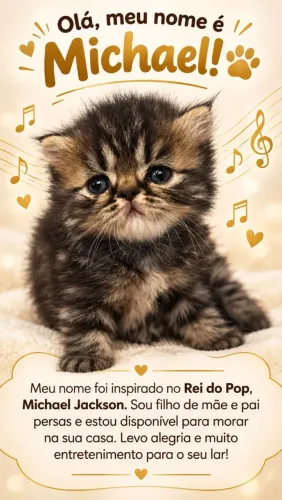 LINDO GATO PERSA MACHO! FIILHOTE.