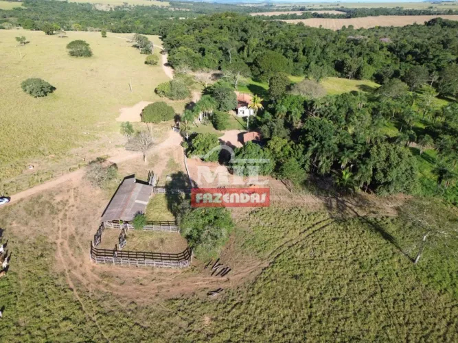 Chácara 17,3 Alqueires (83,72 hectares) Cezarina - GO