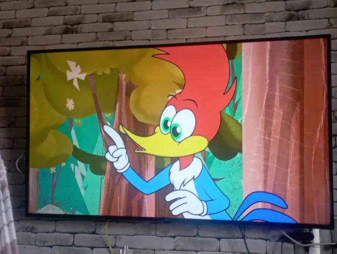 TV 55 LG