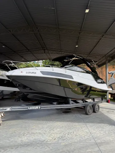 NX 290 Exclusive Edition / Ñ focker phantom fs solara