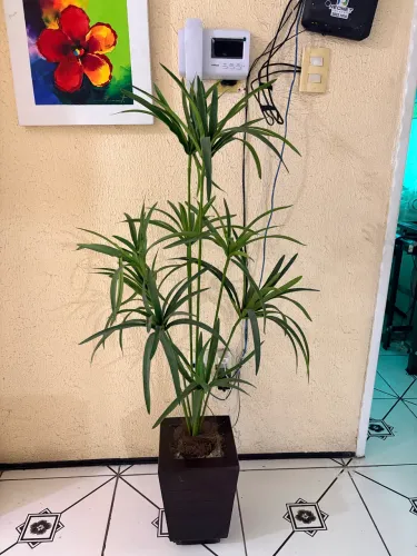 Vendo plantas artificiais