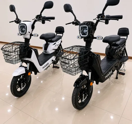 Bicicleta elétrica Haas eco,bat. Lithiun 