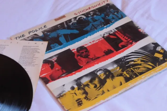Vinil the police