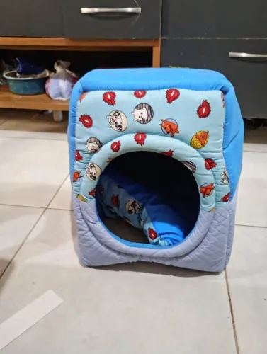 Caminha para seu pet