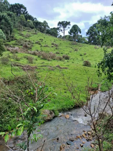 Terreno 5 hectares com riacho em Anitápolis-SC 