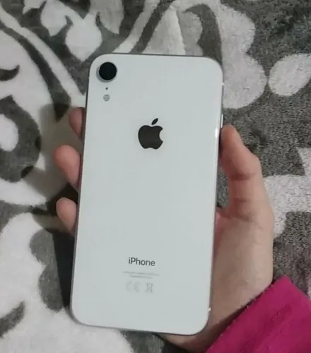 iPhone XR