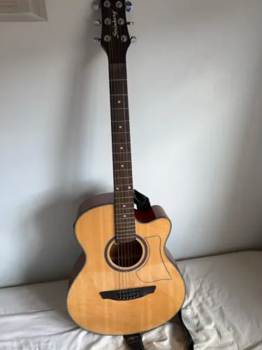VIOLÃO STRINBERG AW50