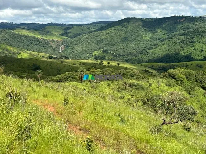 FAZENDA À VENDA - 16 HECTARES - REGIÃO DE BAMBUÍ (MG)