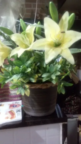 Vaso com Flores amarelas