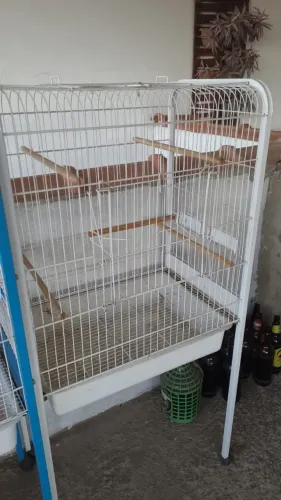 Vendo viveiros muito novos