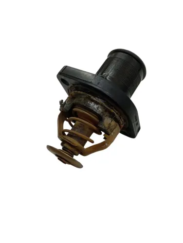 Valvula Termostatica Peugeot 307 Citroen C4 Pallas 2006 2007