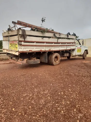 corte de avores limpeza de terreno