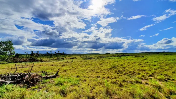 Fazenda para arrendamento