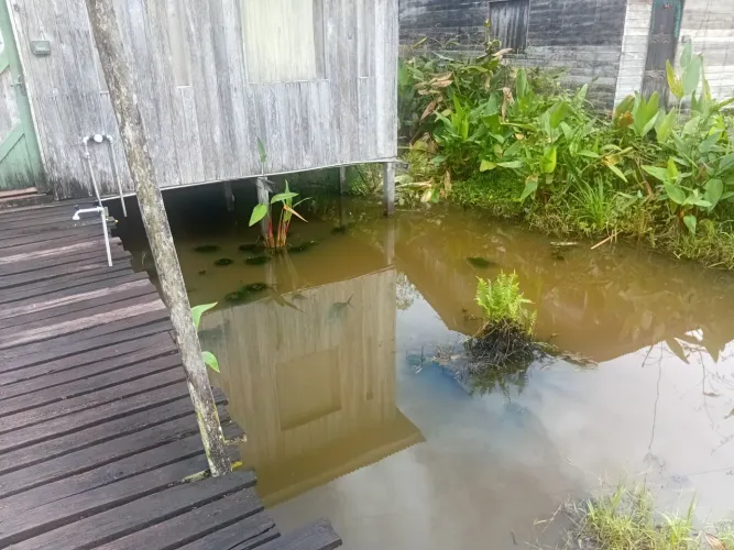 Vendo casa na área de ressaca,