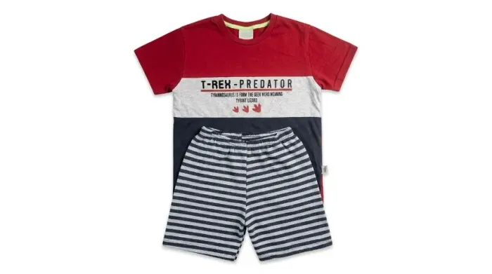 Roupas de Meninos-Lote com 6