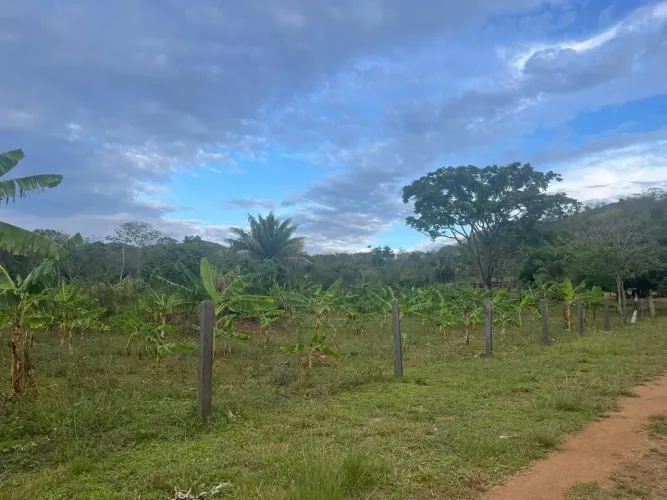 Vende-se fazenda estruturada